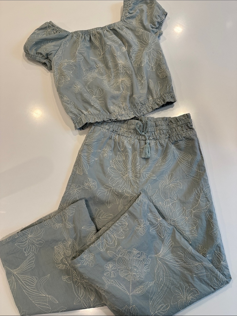 Cupcakes and Cashmere Girls Blue Floral Embroidered Top and Pants Set Size 5/6